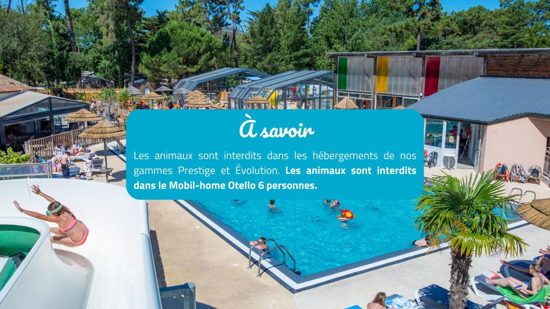 Camping Signol Boyardville Zewnętrze zdjęcie