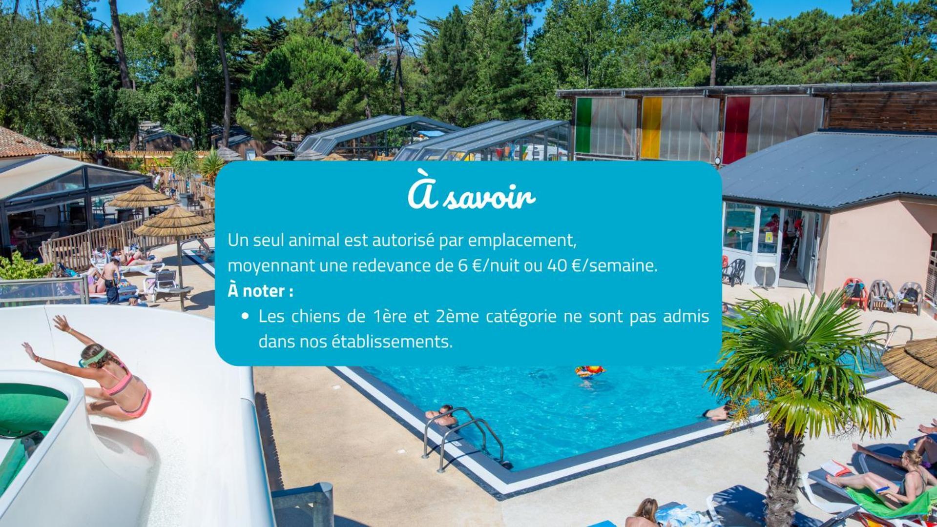 Camping Signol Boyardville Zewnętrze zdjęcie